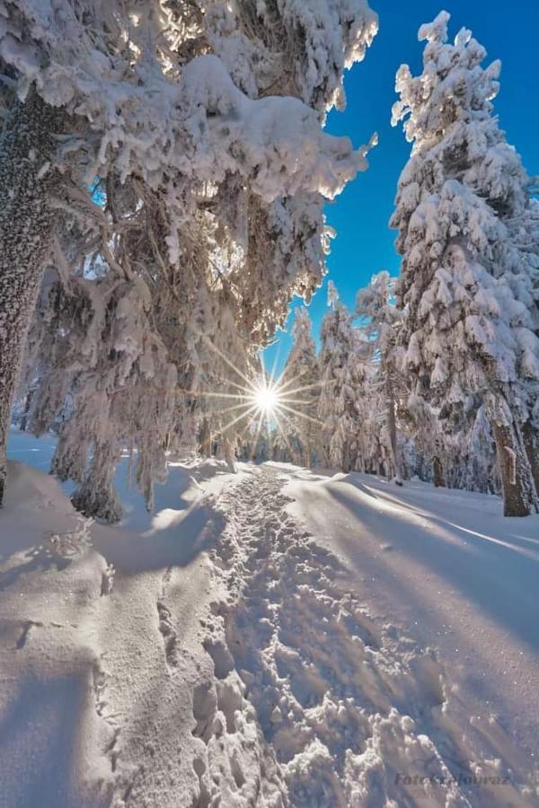 Gorski Raj Świeradów-Zdrój Exteriér fotografie